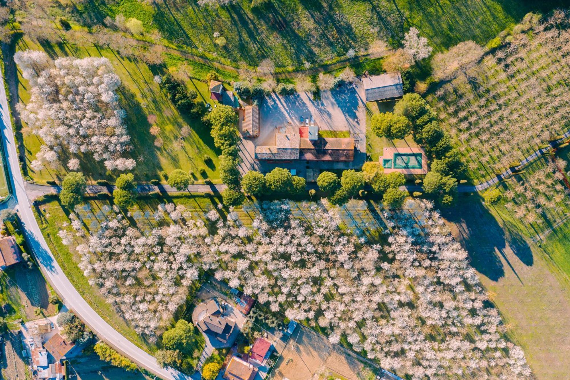 Hotel La Torretta Assisi Esterno foto